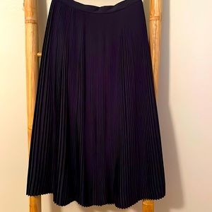 Jcrew pleated navy skirt